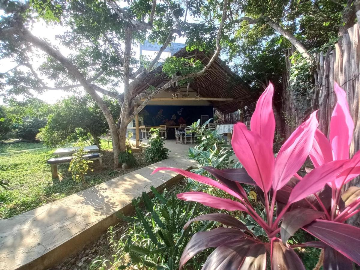 Watamu Beach Cottages B&B Dış mekan fotoğraf