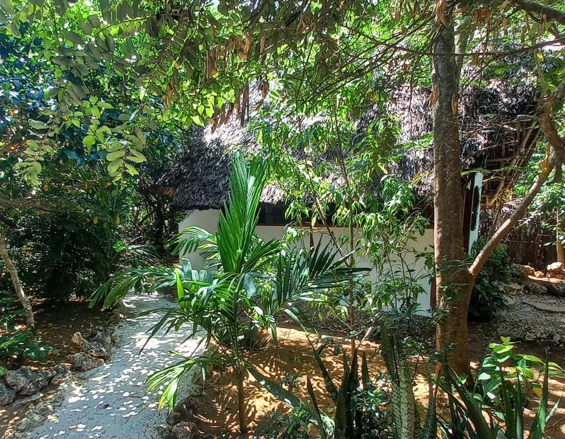 Watamu Beach Cottages B&B Oda fotoğraf